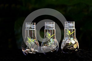 Money saving economy environment.Â  Plants growing in money coins in glass jar for investment planning travel and retirement.